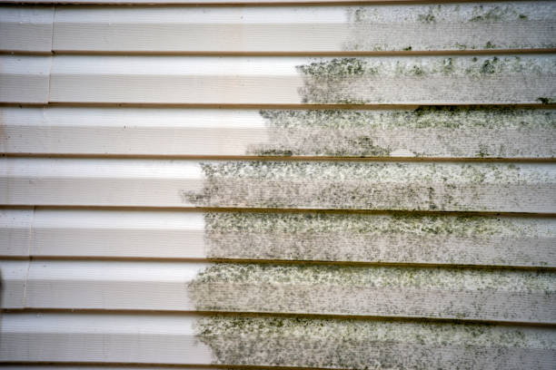 Best Mattress Disposal  in West Sharyland, TX